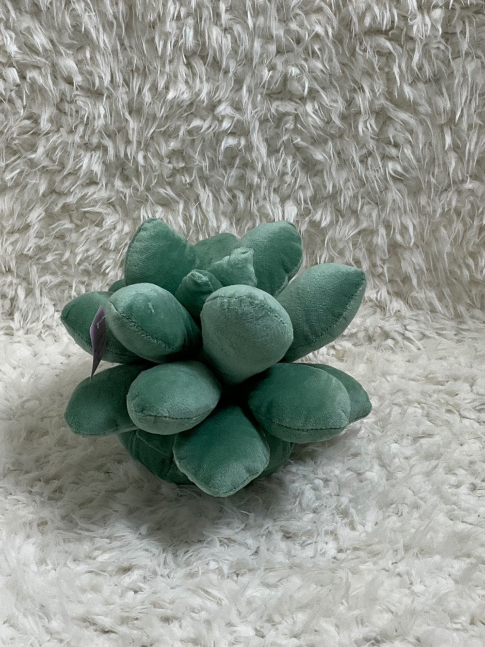PLUSH SUCCULENT THROW PILLOW NOVELTY CUSION!